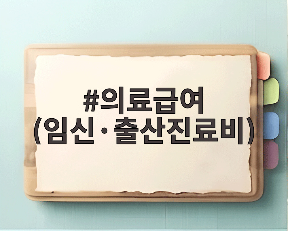 의료급여 (임신·출산진료비)