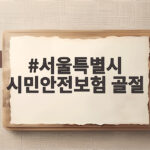 서울 시민안전보험 골절 치료비 지원 받는 법 서울특별시 시민안전보험 골절