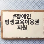 장애인 평생교육이용권 지원