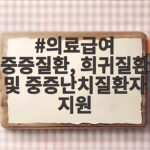 의료급여 중증질환, 희귀질환 및 중증난치질환자 지원