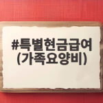 특별현금급여 (가족요양비)