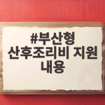 부산형 산후조리비 지원 내용