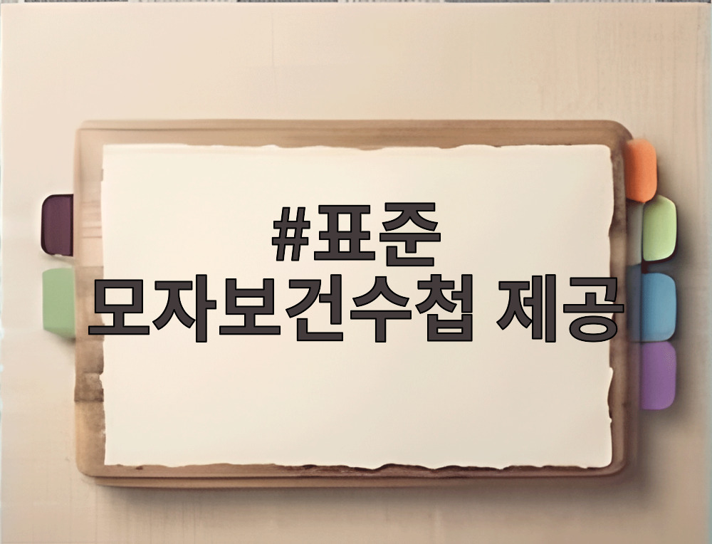 표준 모자보건수첩 제공