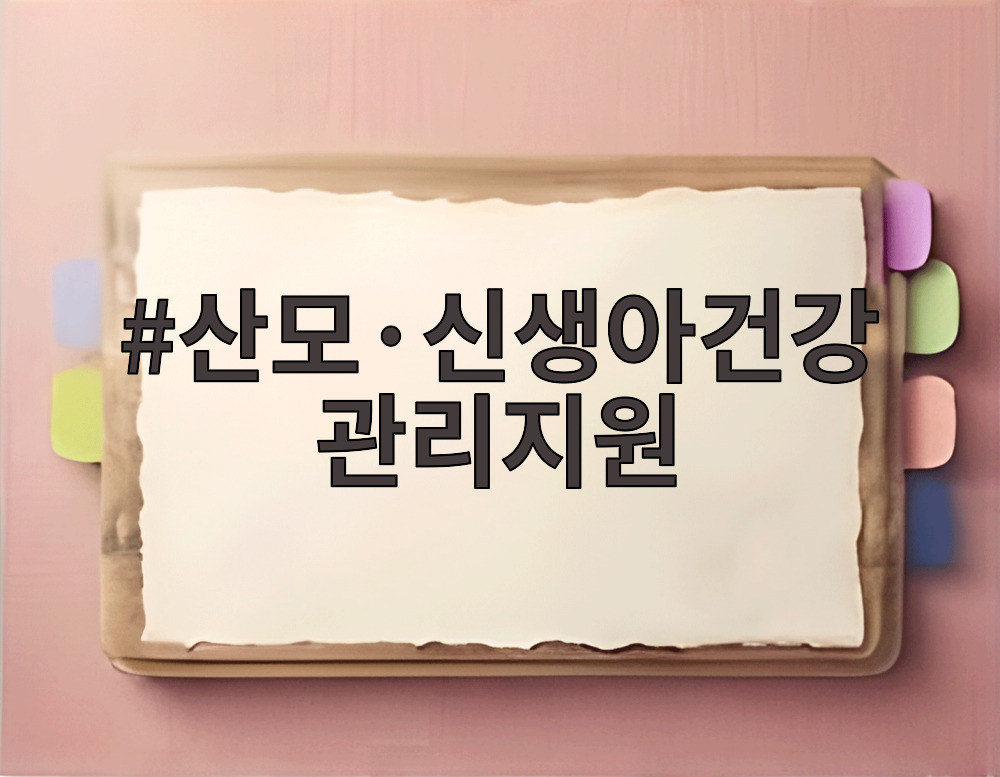 산모·신생아건강관리지원