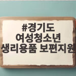 경기도 여성청소년 생리용품 보편지원