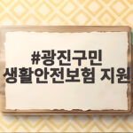 광진구민 생활안전보험 지원