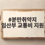분만취약지 임산부 교통비 지원
