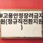 고용안정장려금지원(정규직전환지원)