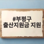 부평구 출산지원금 신청 조건과 금액 한눈에 정리 부평구 출산지원금 지원