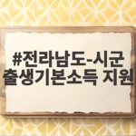 전라남도-시군 출생기본소득 지원