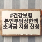 건강보험 본인부담상한액 초과금 지원 신청 방법 건강보험 본인부담상한액 초과금 지원 신청