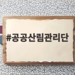 공공산림관리단