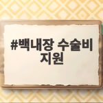 제주 65세 이상 백내장 수술비 최대 12만원 지원받는 방법 백내장 수술비 지원