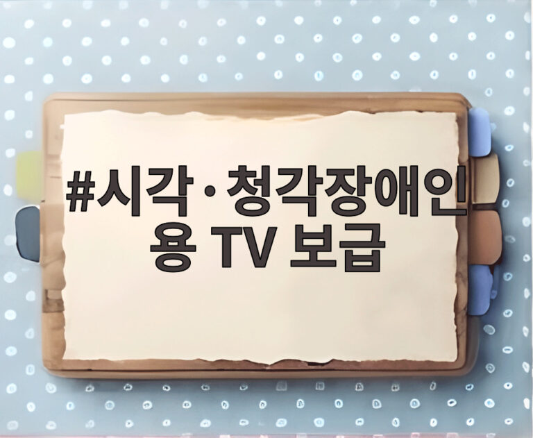 시각·청각장애인용 TV 보급