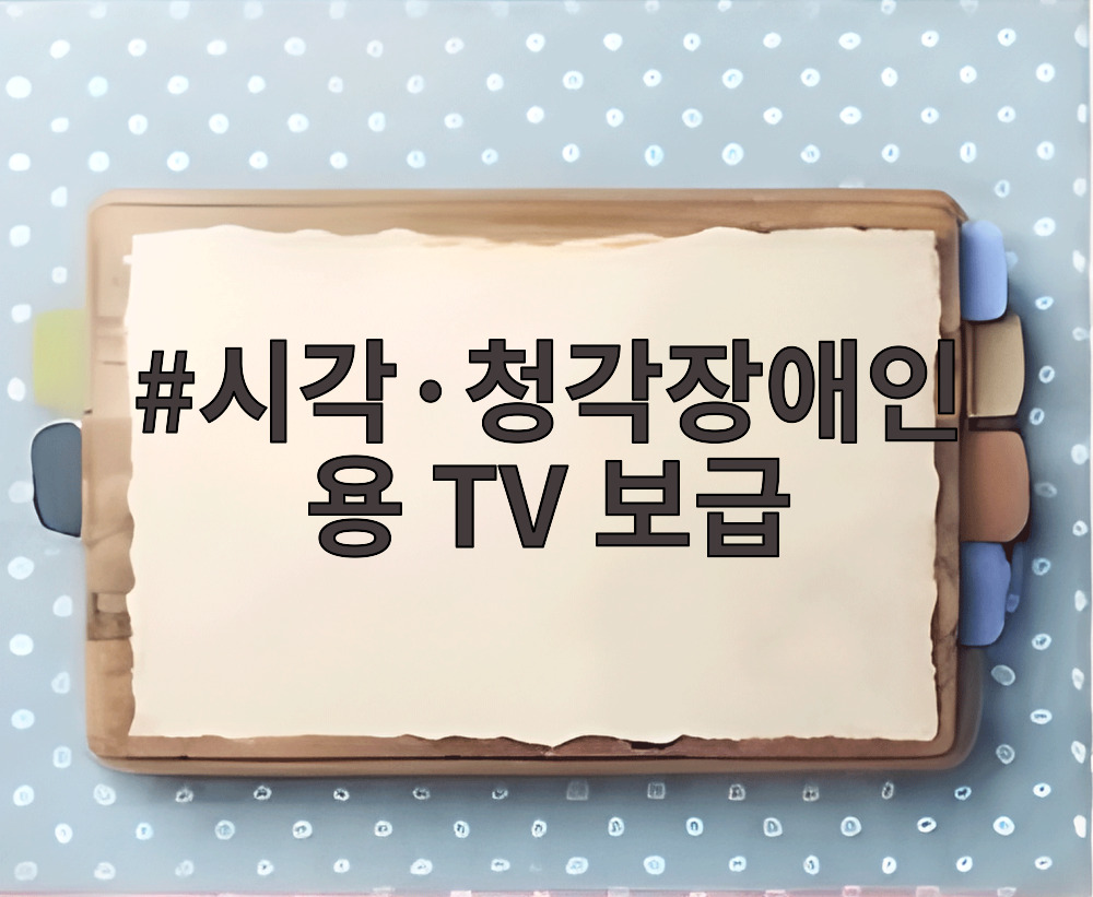 시각·청각장애인용 TV 보급