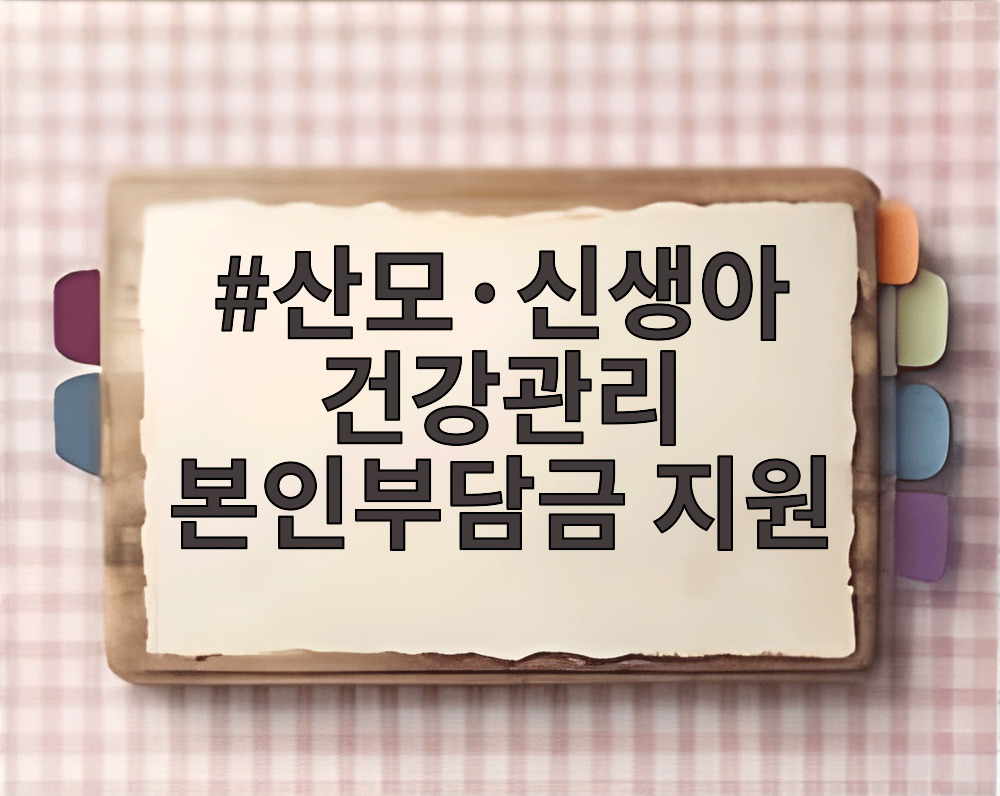 산모·신생아 건강관리 본인부담금 지원