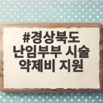 경북 난임부부 시술 약제비 지원 조건 신청 경상북도 난임부부 시술 약제비 지원