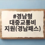 경남형 대중교통비 지원 경남패스 신청 방법과 혜택 정리 경남형 대중교통비 지원(경남패스)