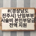 진주시 난임부부 시술비 본인부담금 전액 지원 신청 방법 총정리 (경상남도 진주시) 난임부부 시술비 본인부담금 전액 지원