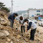 산사태현장예방단 일자리 지원 정보를 안내하는 이미지