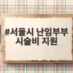 서울시 난임부부 시술비 지원