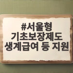 서울형 기초보장제도 생계급여 등 지원