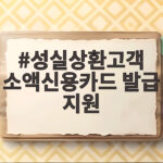 성실상환고객 소액신용카드 발급 지원 성실상환고객 소액신용카드 발급 지원
