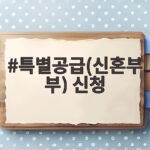 특별공급(신혼부부) 신청