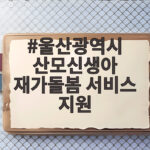 울산광역시 산모신생아 재가돌봄 서비스 지원