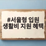 서울형 입원 생활비 지원 혜택