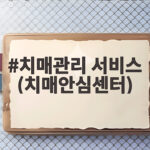 치매안심센터 치매관리 서비스 총정리 치매관리 서비스 (치매안심센터)