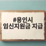 용인시 임신지원금 지급 조건과 신청 방법 총정리 용인시 임신지원금 지급