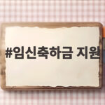 김포시 임신축하금 50만원 신청 방법 임신축하금 지원
