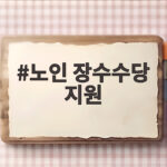 노인 장수수당 지원
