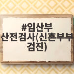 임산부산전검사신혼부부검진지원정리 임산부 산전검사(신혼부부검진)