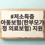 저소득층 아동보험 한부모가정 의료보험 저소득층 아동보험(한부모가정 의료보험) 지원