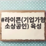 라이콘(기업가형 소상공인) 육성