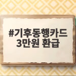 기후동행카드 3만원 환급 신청 놓치지 마세요 기후동행카드 3만원 환급