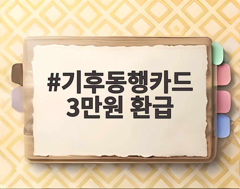 기후동행카드 3만원 환급