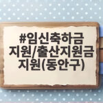 임신축하금 지원과 출산지원금 지원 동안구 최대 1000만원 받는 방법 임신축하금 지원/출산지원금 지원(동안구)