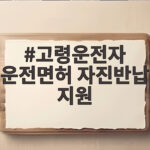 고령운전자 운전면허 자진반납 지원 혜택과 신청 방법 총정리 고령운전자 운전면허 자진반납 지원