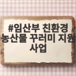 임산부 친환경 농산물 꾸러미 지원 사업