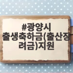 광양시 출생축하금(출산장려금)지원