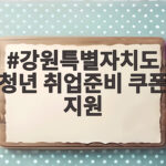 강원특별자치도 청년 취업준비 쿠폰 지원 월 50만원 6개월 조건 확인 강원특별자치도 청년 취업준비 쿠폰 지원