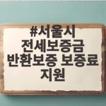 서울시 전세보증금 반환보증 보증료 지원 신청 전 확인할 조건과 금액 서울시 전세보증금 반환보증 보증료 지원