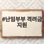 난임부부 격려금 지원