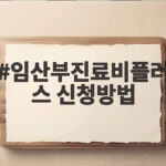 임산부진료비플러스 신청방법 총정리 임산부진료비플러스 신청방법