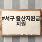 서구 출산지원금 지원 서류 한 장이면 30만원 받아요 서구 출산지원금 지원