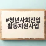 청년사회진입 활동지원사업