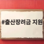 출산장려금 지원